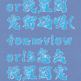 teamviewer设置固定密码吗(teamviewer15怎么设置固定密码)