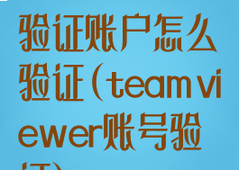 teamviewer验证账户怎么验证(teamviewer账号验证)
