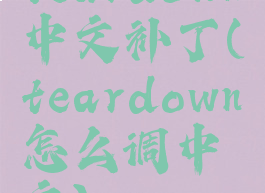 teardown中文补丁(teardown怎么调中文)