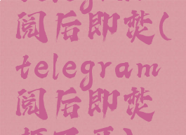 telegram阅后即焚(telegram阅后即焚打不开)