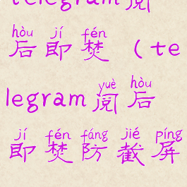 telegram阅后即焚(telegram阅后即焚防截屏)