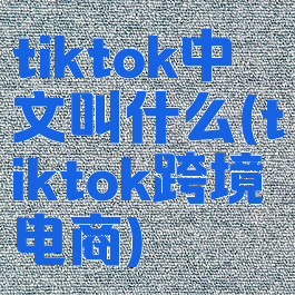 tiktok中文叫什么(tiktok跨境电商)