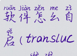 translucentb软件怎么自启(translucentb设置)