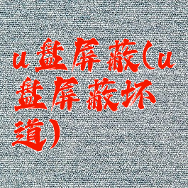 u盘屏蔽(u盘屏蔽坏道)