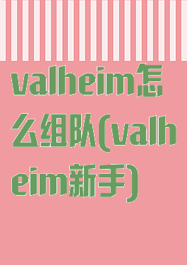 valheim怎么组队(valheim新手)