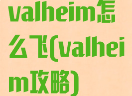 valheim怎么飞(valheim攻略)