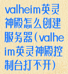 valheim英灵神殿怎么创建服务器(valheim英灵神殿控制台打不开)