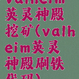 valheim英灵神殿挖矿(valheim英灵神殿刷铁代码)