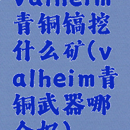 valheim青铜镐挖什么矿(valheim青铜武器哪个好)