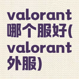 valorant哪个服好(valorant外服)