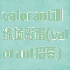 valorant训练场彩蛋(valorant招募)