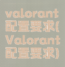 valorant配置要求(Valorant配置要求)