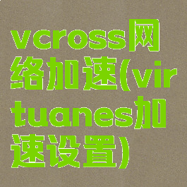 vcross网络加速(virtuanes加速设置)