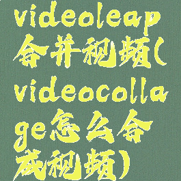 videoleap合并视频(videocollage怎么合成视频)