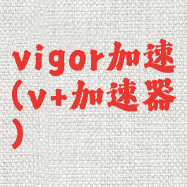 vigor加速(v+加速器)