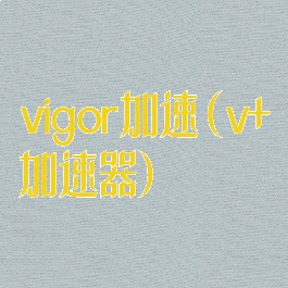 vigor加速(v+加速器)