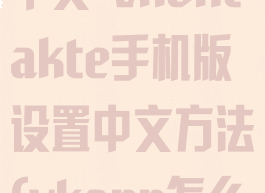 vk怎么设置中文-vkontakte手机版设置中文方法(vkapp怎么设置中文)