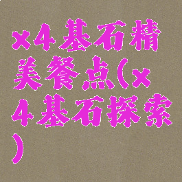 x4基石精美餐点(x4基石探索)