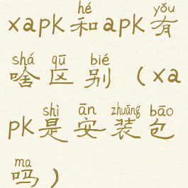 xapk和apk有啥区别(xapk是安装包吗)