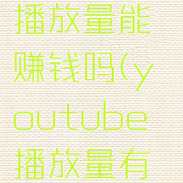 youtube播放量能赚钱吗(youtube播放量有钱吗)